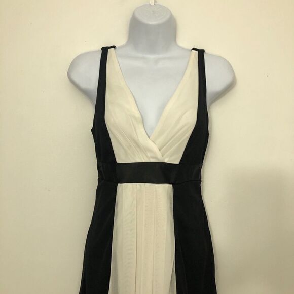 ALYNPaige Beautiful Size S Slip On Dress! - Picture 2 of 11